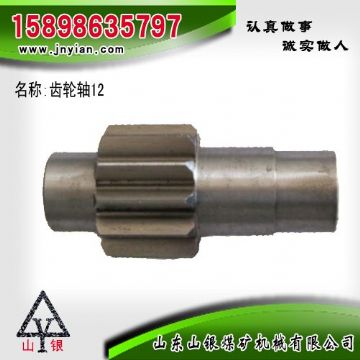 點(diǎn)擊查看詳細(xì)信息<br>標(biāo)題：齒輪軸12 江陰系列配件 閱讀次數(shù)：2305