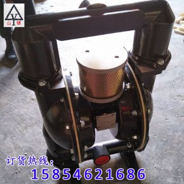 點擊查看詳細(xì)信息<br>標(biāo)題：氣動隔膜泵 閱讀次數(shù)：2010