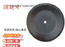 點(diǎn)擊查看詳細(xì)信息<br>標(biāo)題：氣動(dòng)隔膜泵配件-隔膜片 閱讀次數(shù)：366